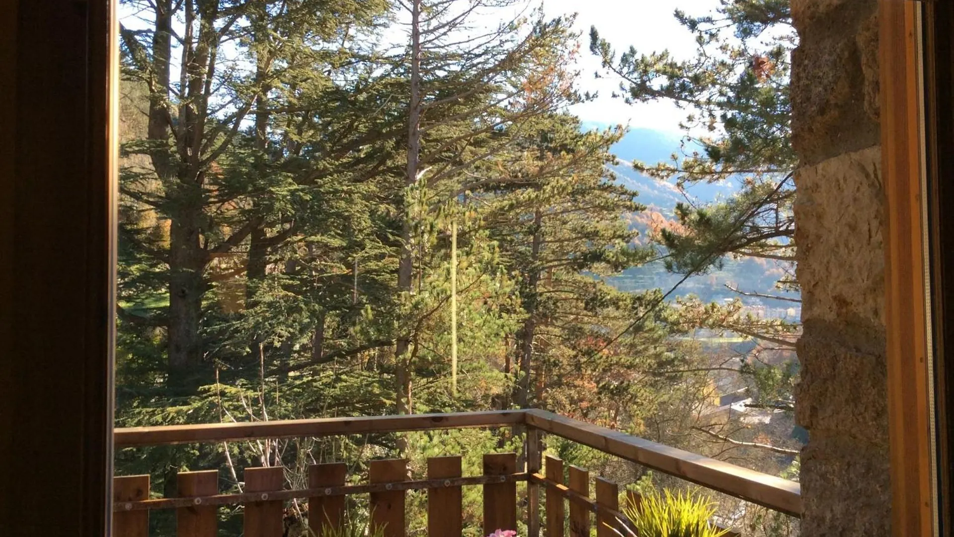 Daire Els Apartaments Del Bosc Ribes De Freser